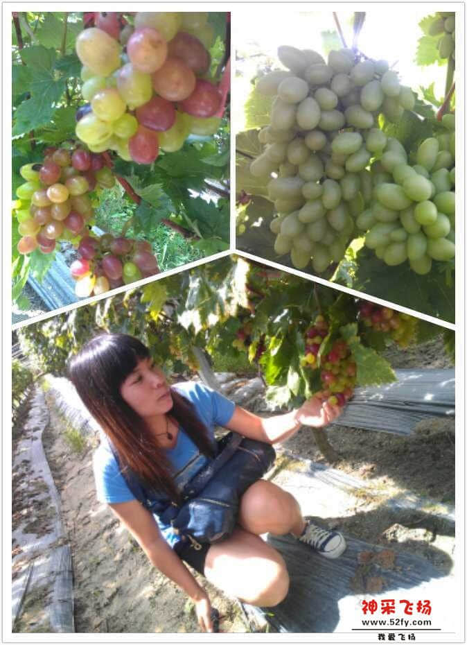 QQ图片20130729231846.jpg