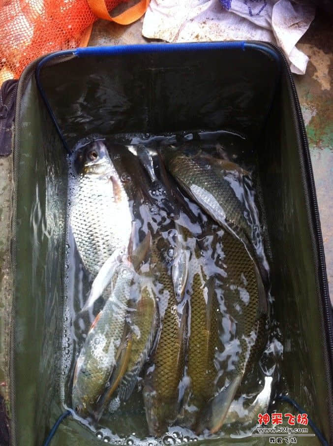QQ图片20130731124749.jpg