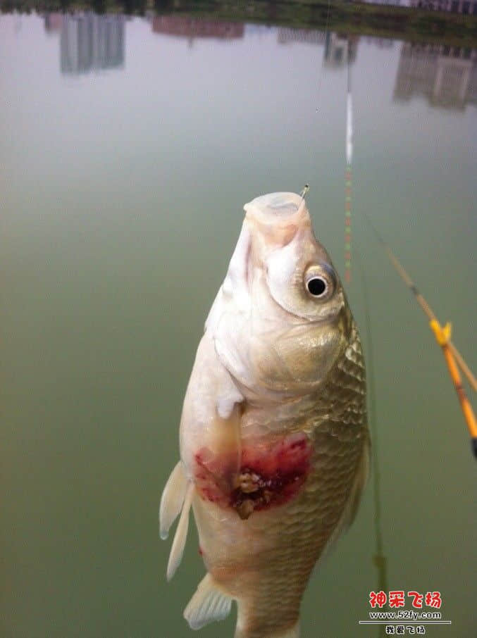 QQ图片20130731124758.jpg