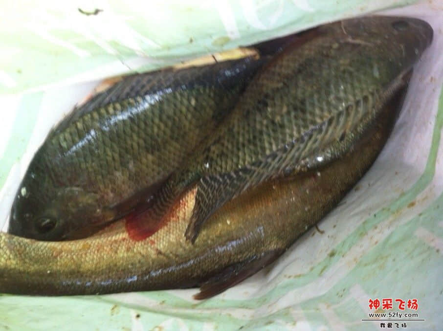 QQ图片20130731124831.jpg
