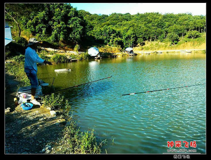 259098454-ca5c8b71cf5828b.jpg