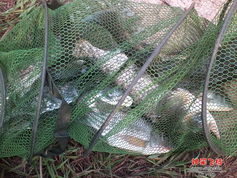 IMG_20130810_155256_副本.jpg