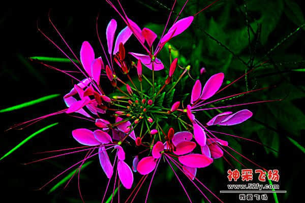 20130721 016.jpg