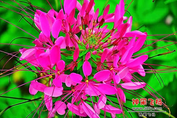 20130721 031.jpg