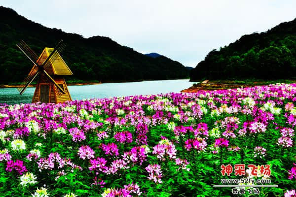 20130721 027.jpg