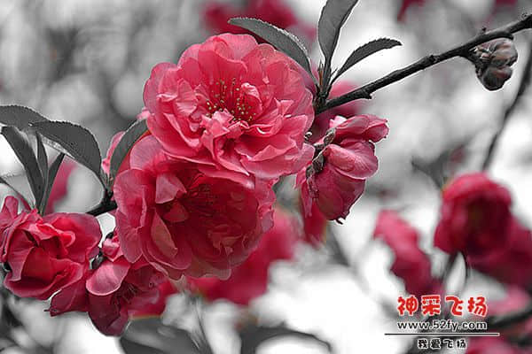 20130211 098a.jpg