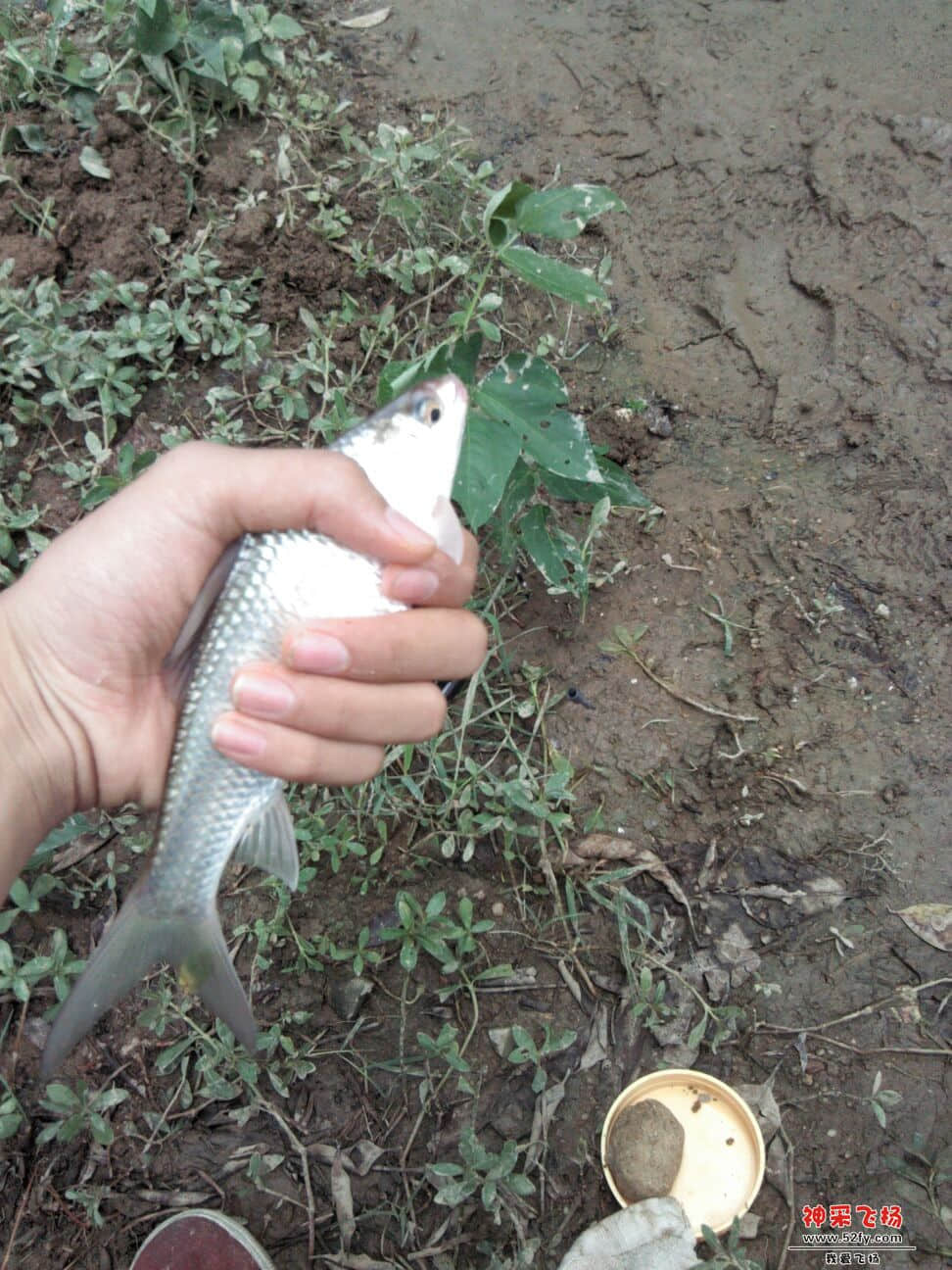 QQ图片20130819135532.jpg