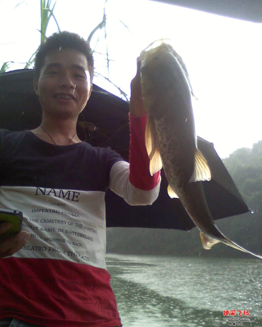 IMG0819163100.jpg