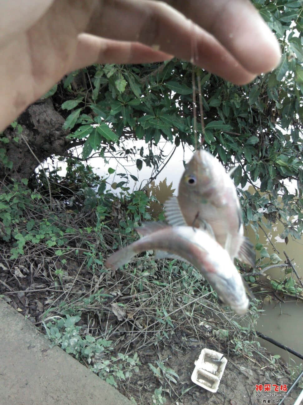 QQ图片20130821125352.jpg