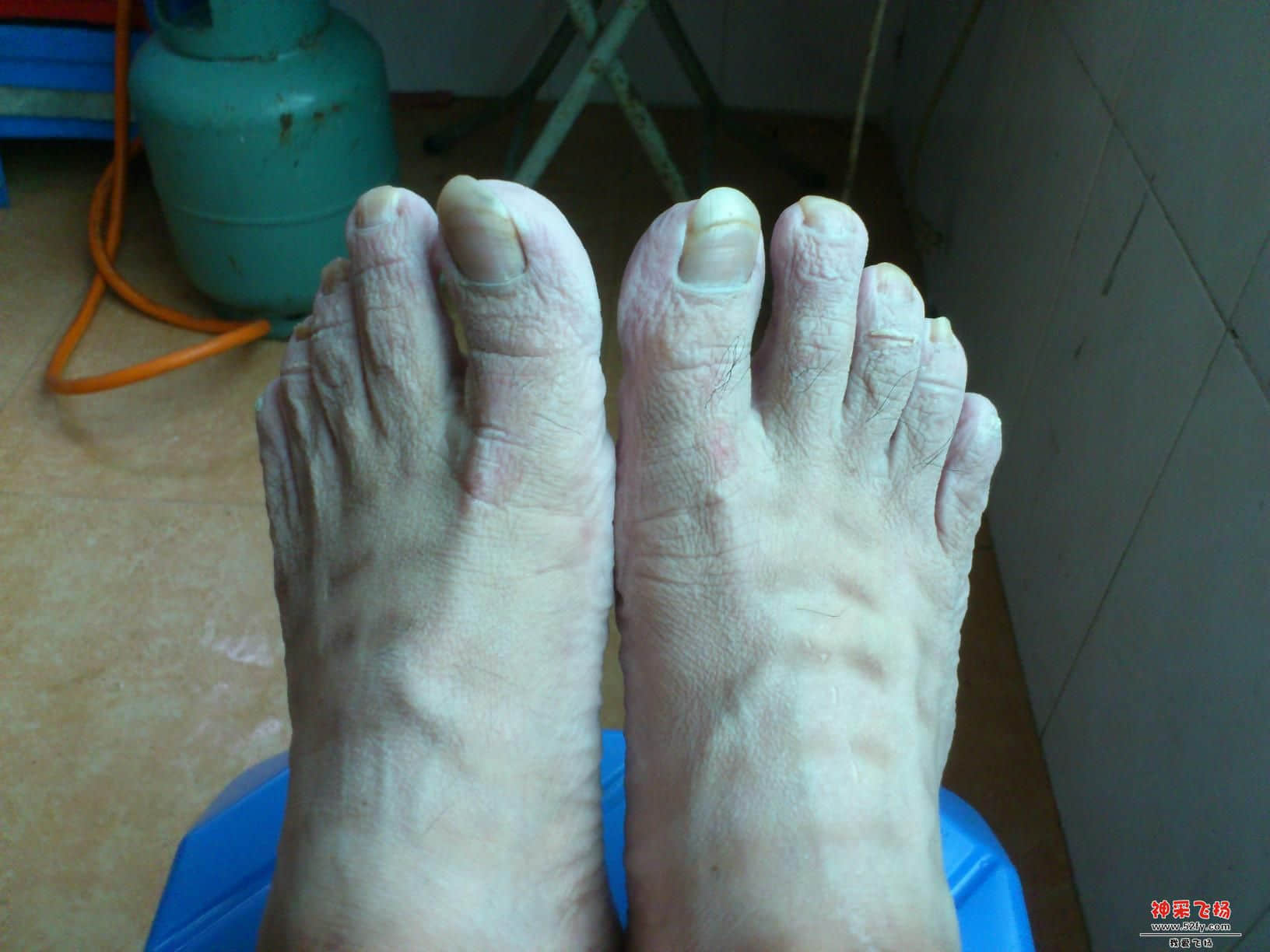 DSC_0728.jpg