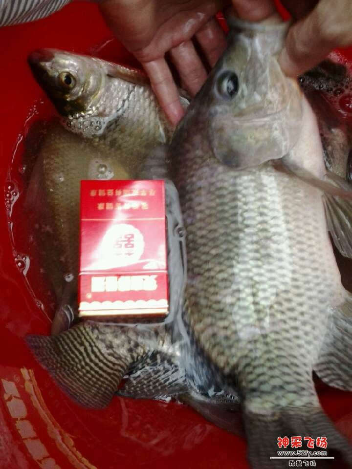 QQ图片20130903222225.jpg