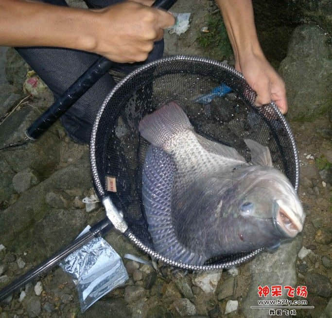 QQ图片20130905214521.jpg