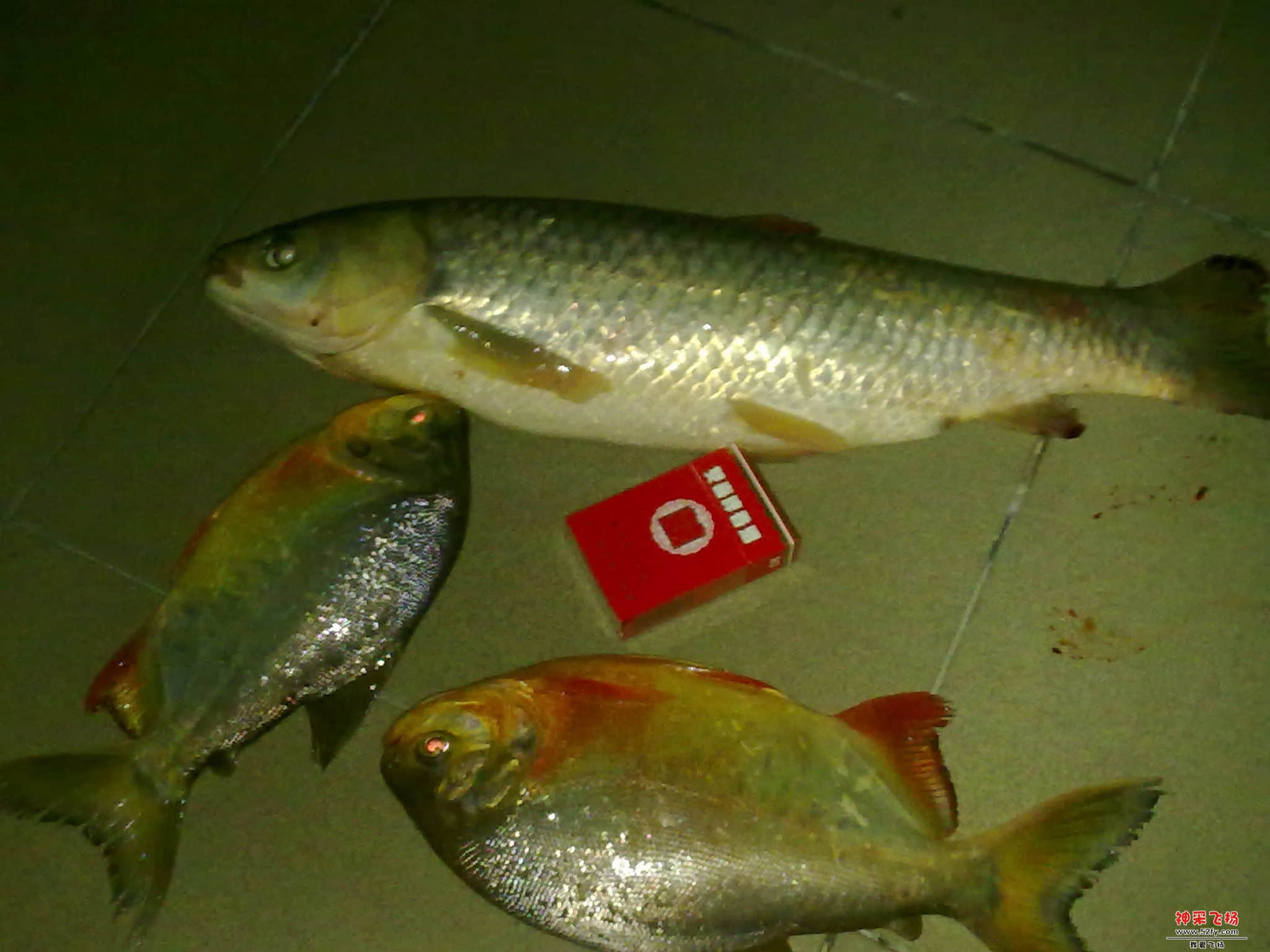 20130908379.jpg