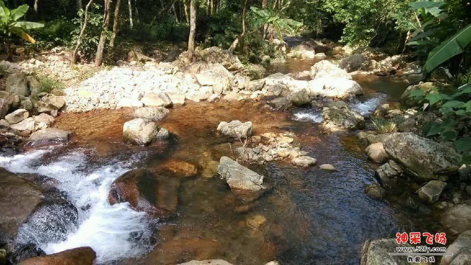 IMG_20130908_143409.jpg