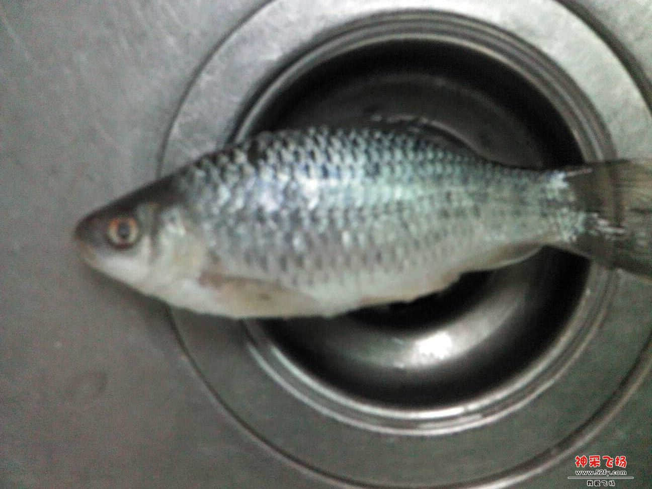 QQ图片20130928204340.jpg
