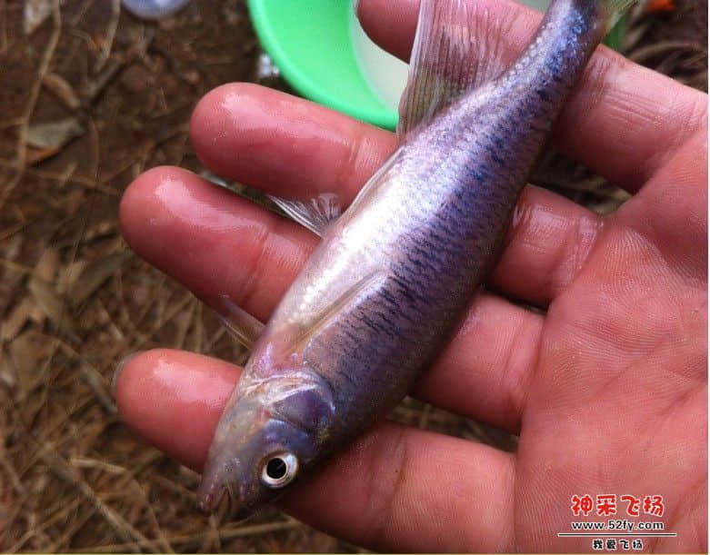 QQ截图20130930184555.jpg