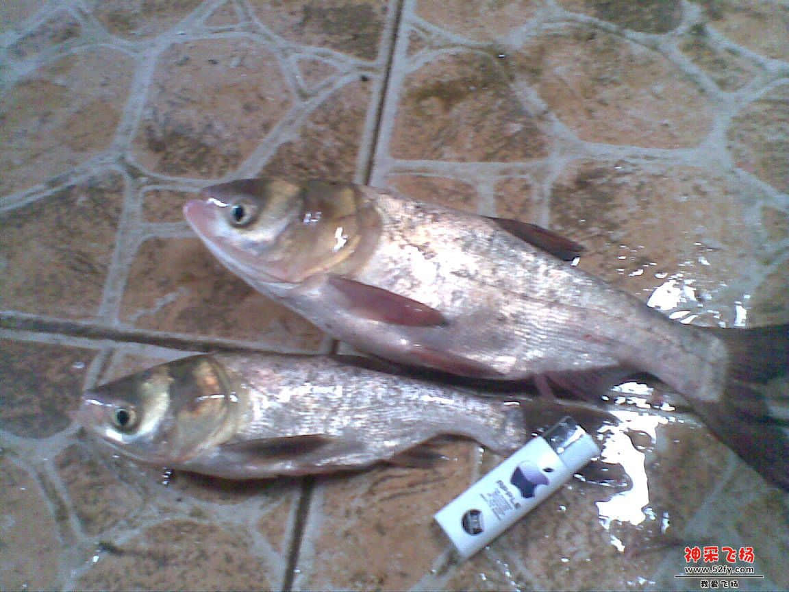 20131007(002).jpg