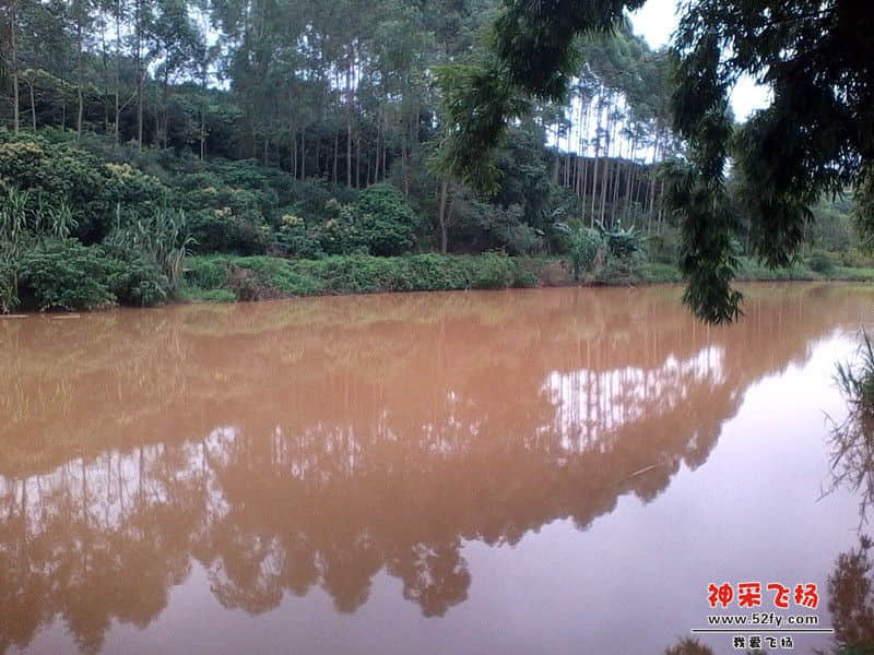 IMG_20130820_121730_副本.jpg