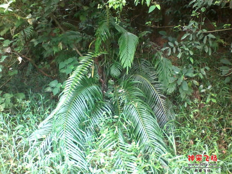 IMG_20130820_121905_副本.jpg