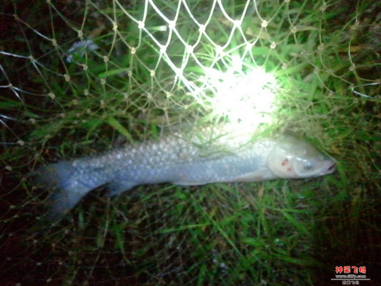 2013-10-08 21.36.07.jpg