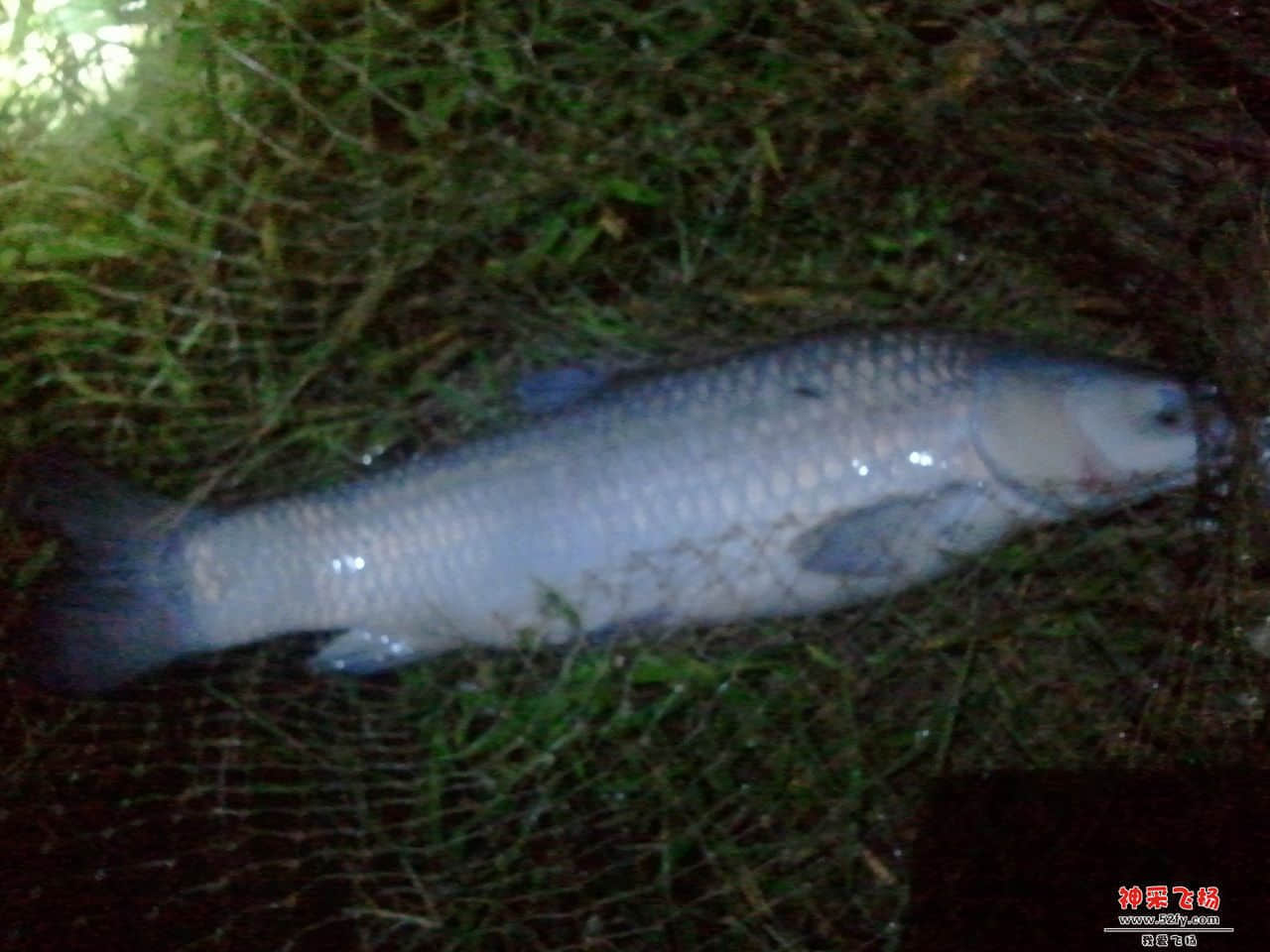 2013-10-09 01.43.21.jpg