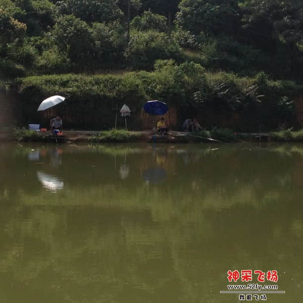 钓位对面