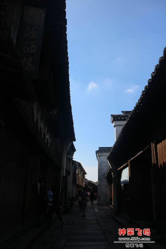 IMG_2551.JPG