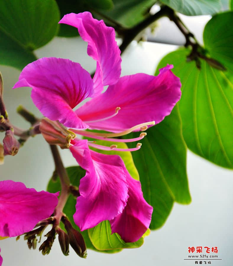 DSC_2348a.jpg
