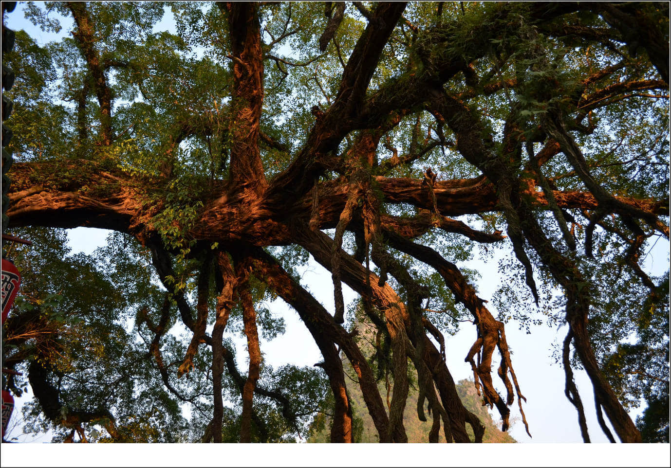 照片 588.jpg