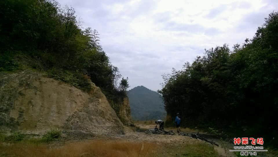 IMG_20131102_121917.jpg