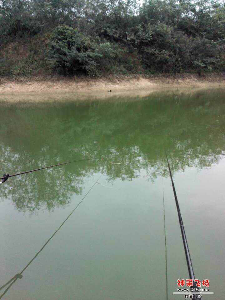 QQ图片20131103001243.jpg