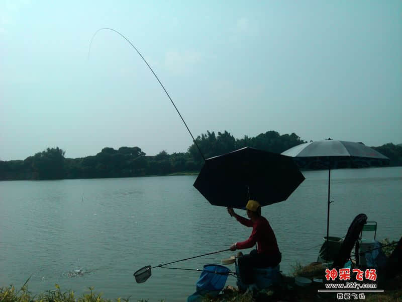 IMG_20131103_125851.jpg