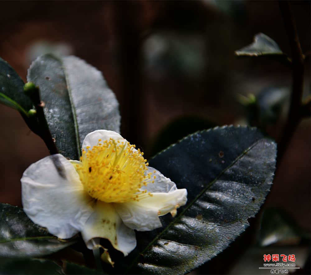20130907-160.jpg