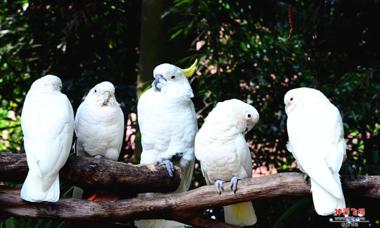 DSC_2915_副本.jpg