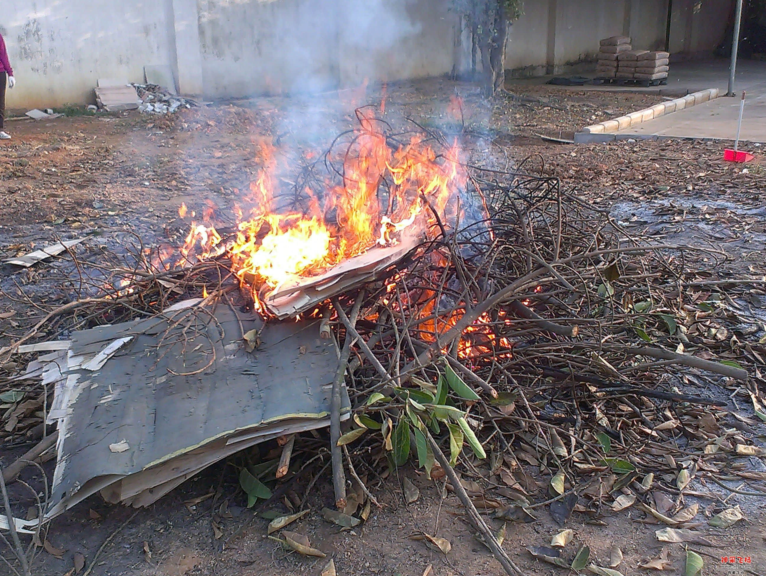 IMAG1158.jpg