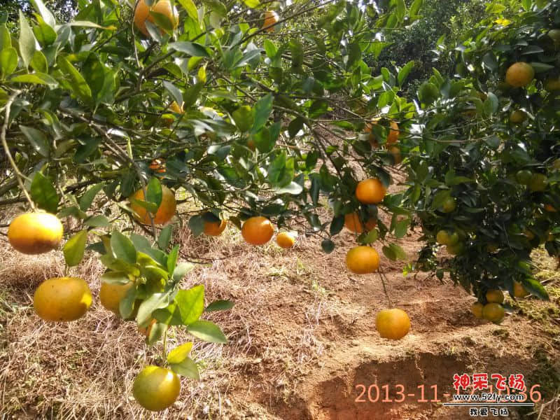 IMG_20131117_103606.jpg