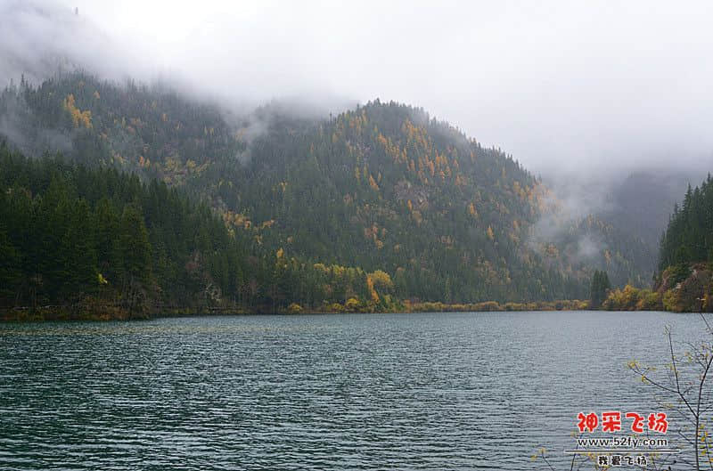DSC_2472.jpg