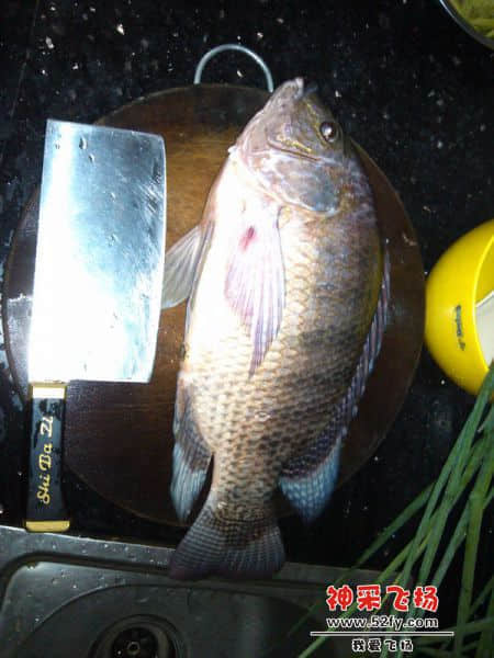 IMG_20131121_174119.jpg