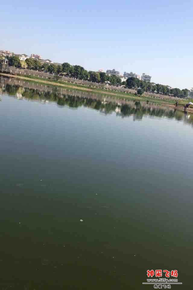 786493.jpg