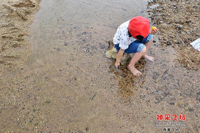 照片-022a.jpg