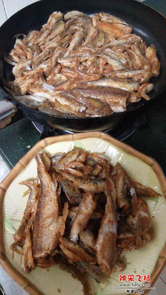 IMG_20131208_202446.jpg