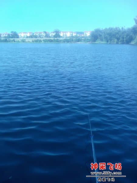 IMG20131129007.jpg