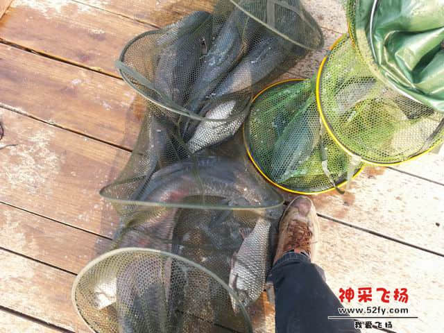 调整大小 14.jpg