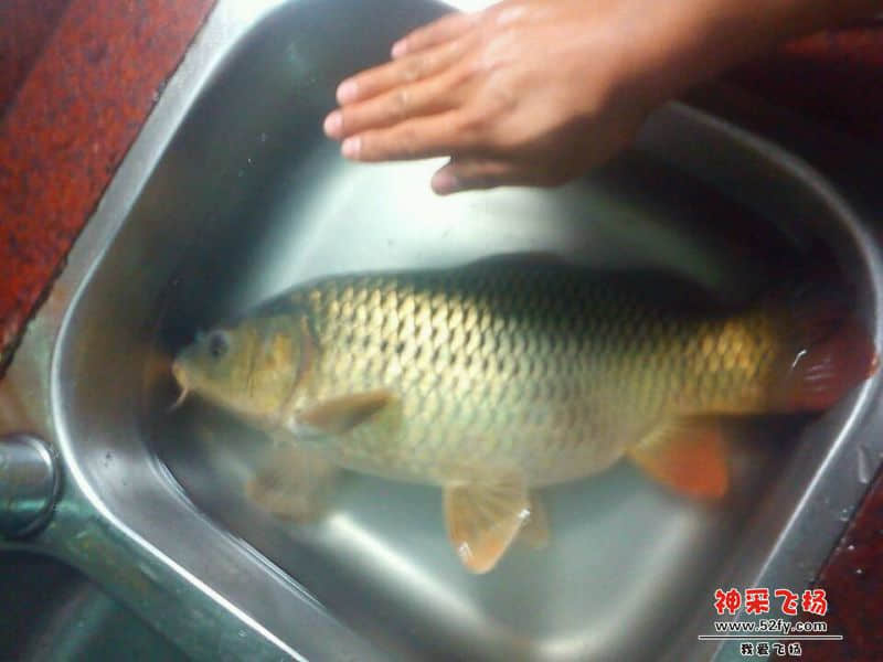 QQ图片20131213183716.jpg