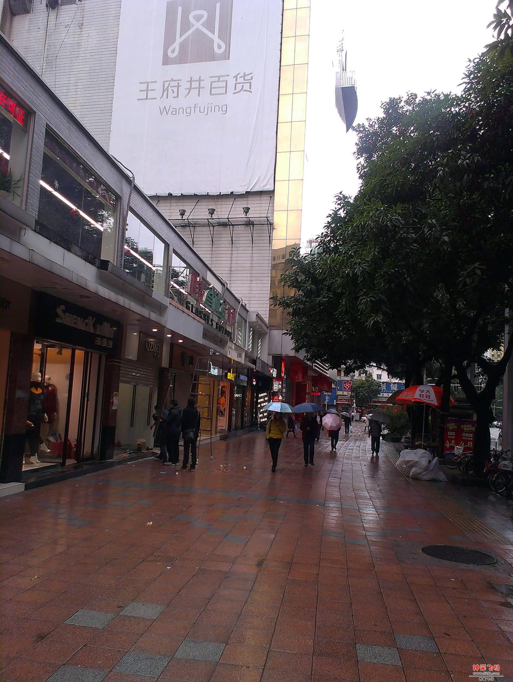 IMAG1301.jpg