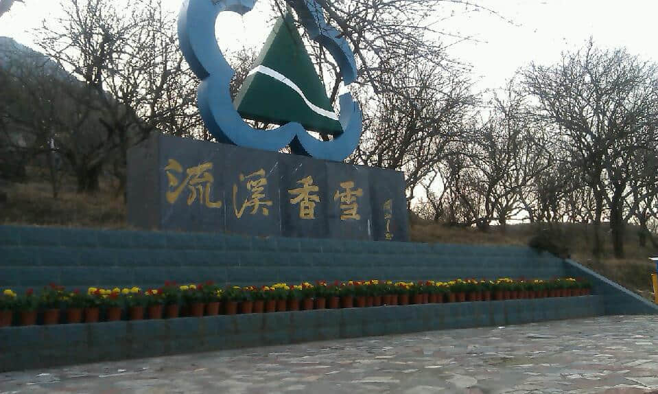 IMAG0420.jpg