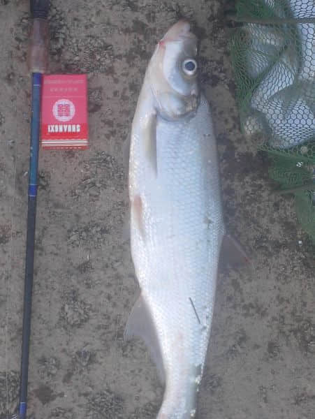 IMG20131231006.jpg