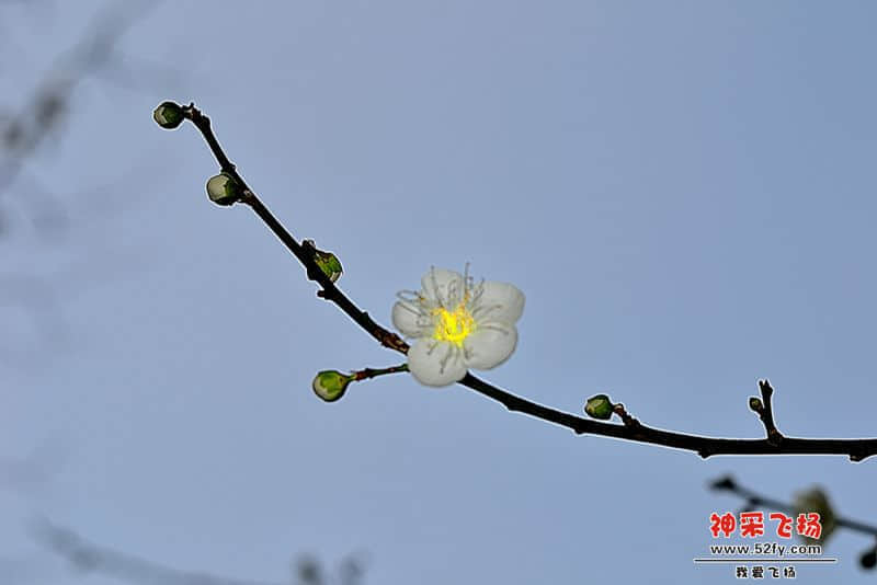 DSC_4008.jpg