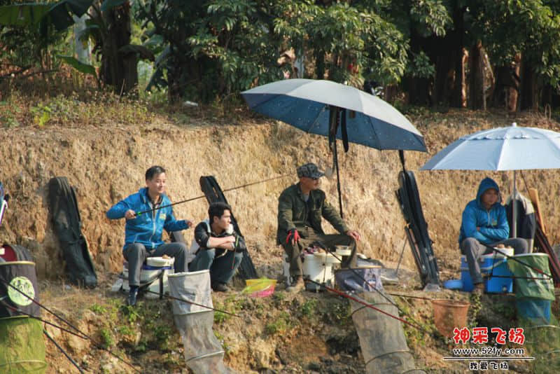 IMG_2936.jpg