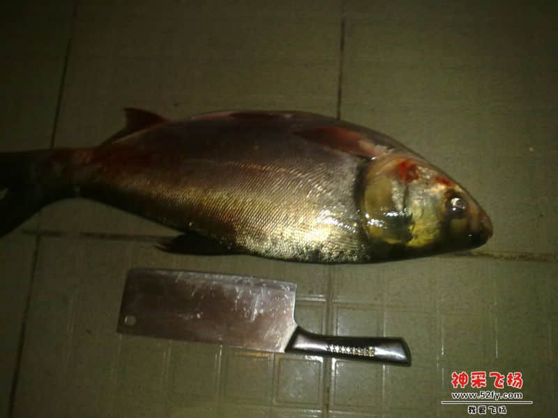 20140105454.jpg